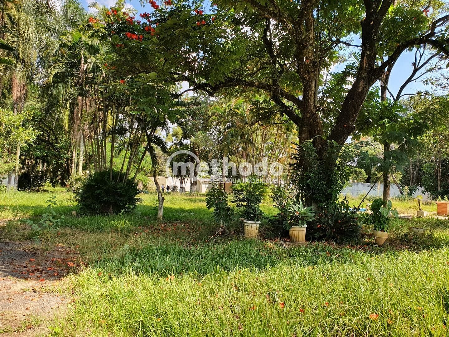 Terreno, 10000 m² - Foto 60