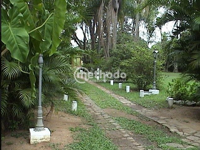 Terreno, 10000 m² - Foto 10