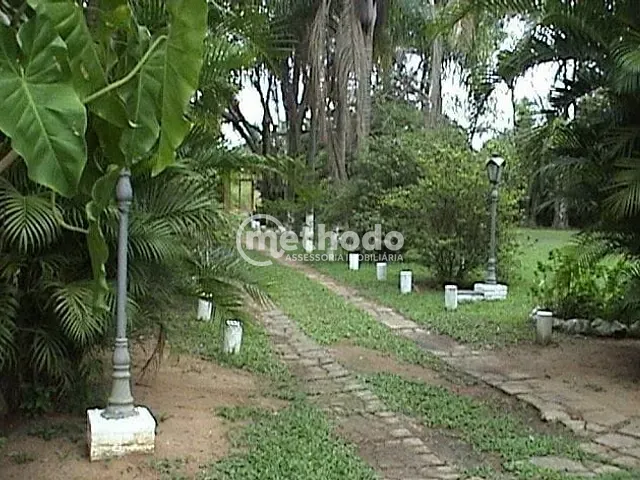 Terreno com 10000m², à venda, no bairro Chácara Santa Margarida em Campinas