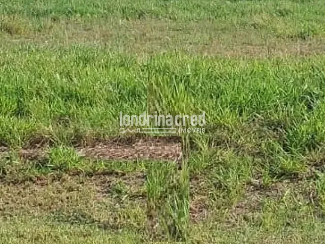 Terreno com 318m², à venda, no bairro Gleba Simon Frazer em Londrina