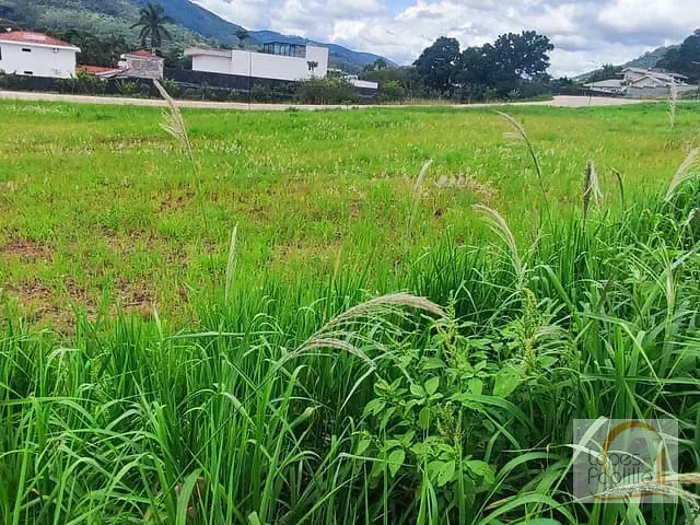 Terreno com 360m², à venda, no bairro Loteamento Ecoville Residencial Atibaia em Atibaia