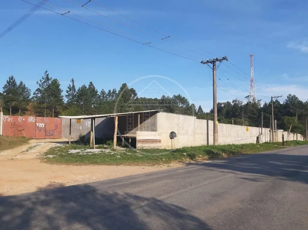 Terreno, 2 hectares - Foto 6