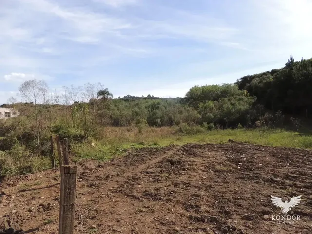 Terreno com 9822m², à venda, no bairro Campo de São Benedito em Campo Magro
