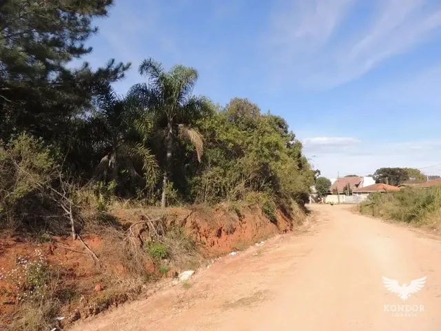 Terreno com 9822m², à venda, no bairro Campo de São Benedito em Campo Magro