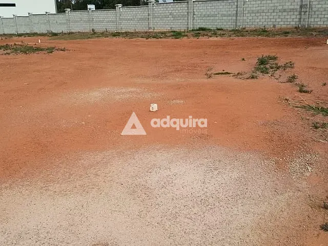 Terreno com 220m², à venda, no bairro Neves em Ponta Grossa
