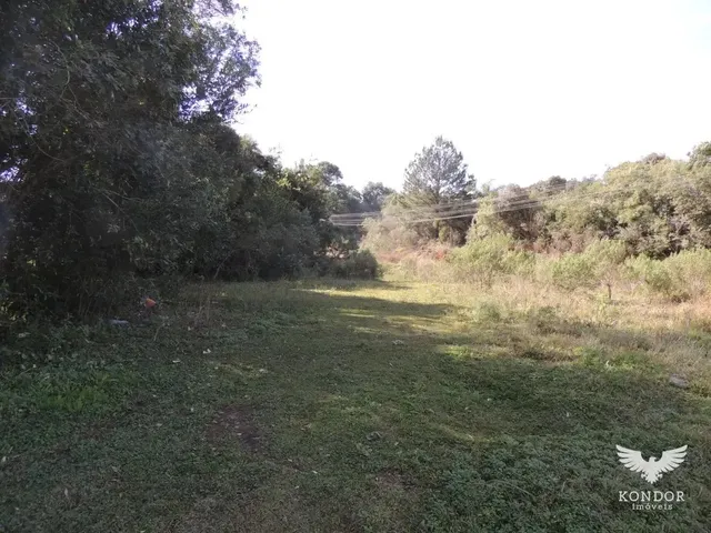 Terreno com 1693m², à venda, no bairro Campo De São Benedito em Campo Magro