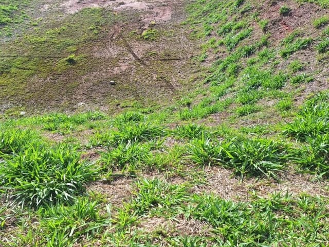 Terreno com 598m², à venda, no bairro Condomínio Residencial Alphaville em São José dos Campos