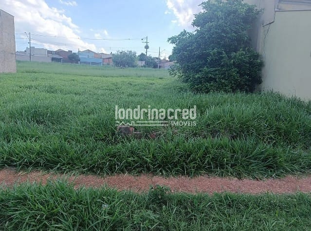 Terreno, 250 m² - Foto 2