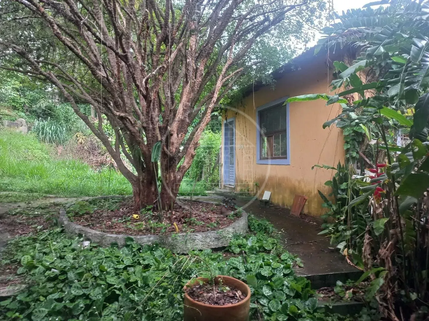 Terreno, 7000 m² - Foto 9