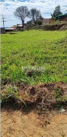 Terreno, 250 m² - Foto 5