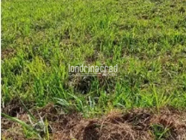 Terreno com 250m², à venda, no bairro Jardim Columbia D em Londrina