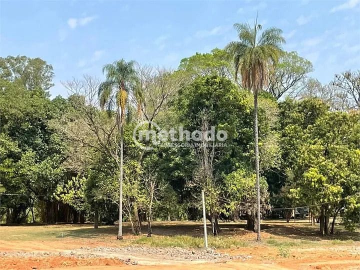 Terreno, 300 m² - Foto 7