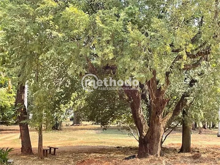 Terreno, 300 m² - Foto 8