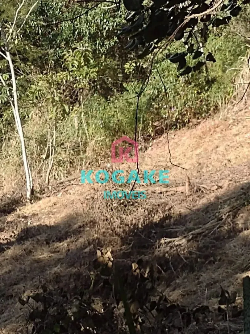 Terreno, 2500 m² - Foto 6