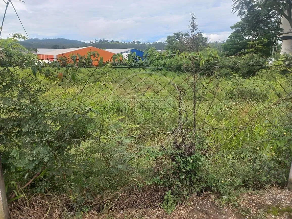 Terreno, 5835 m² - Foto 3