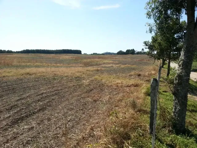 Terreno com 550000m², à venda, no bairro Não informado em Palmeira