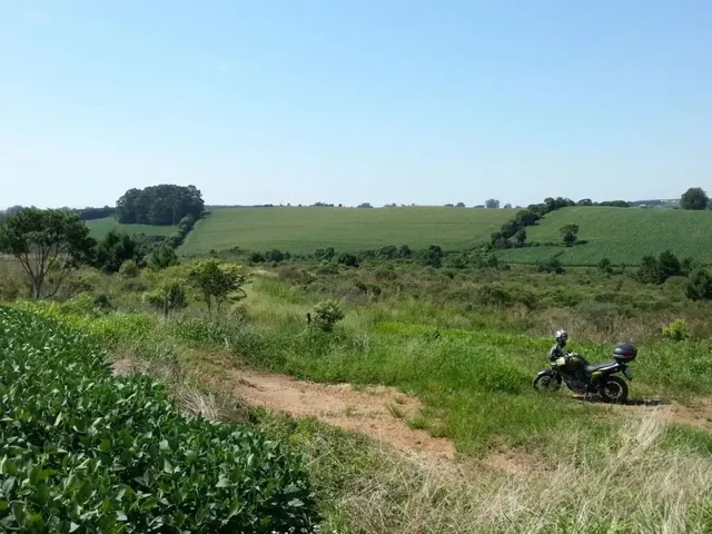 Terreno com 550000m², à venda, no bairro Não informado em Palmeira