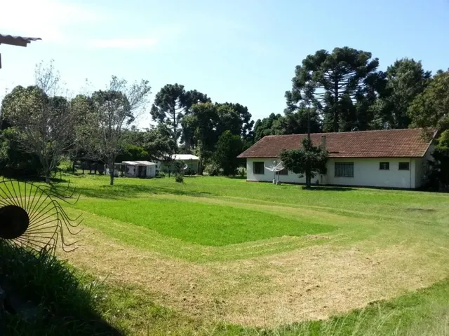Terreno com 550000m², à venda, no bairro Não informado em Palmeira