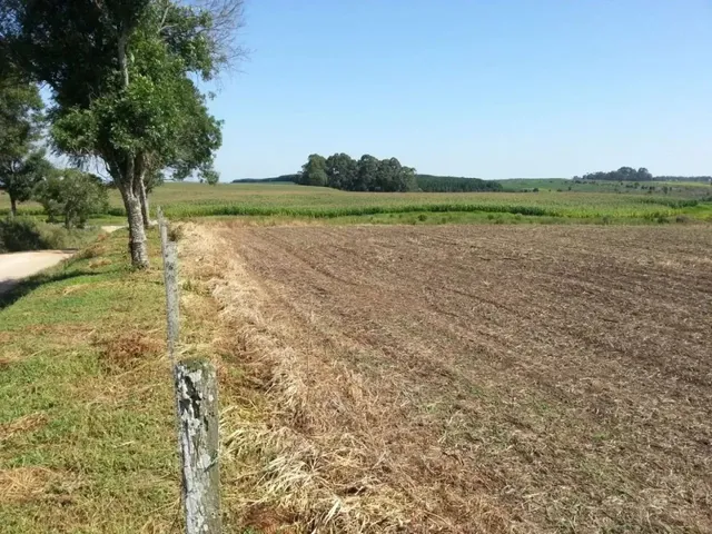 Terreno com 550000m², à venda, no bairro Não informado em Palmeira