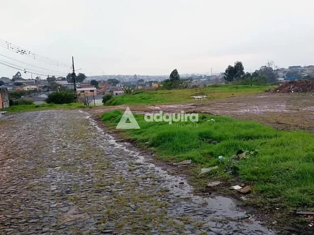 Terreno com 4839m², à venda, no bairro Boa Vista em Ponta Grossa