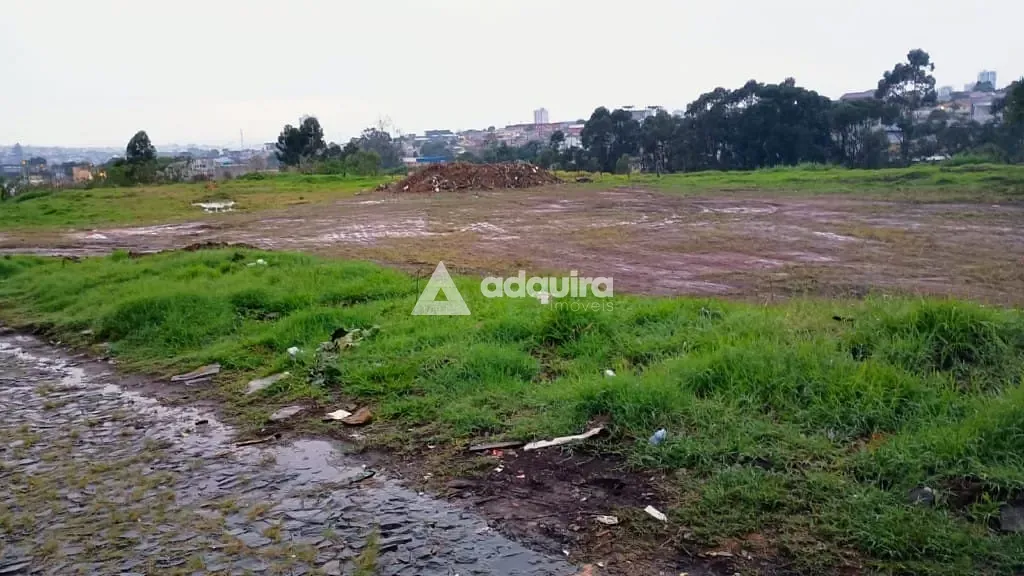 Terreno, 4839 m² - Foto 2