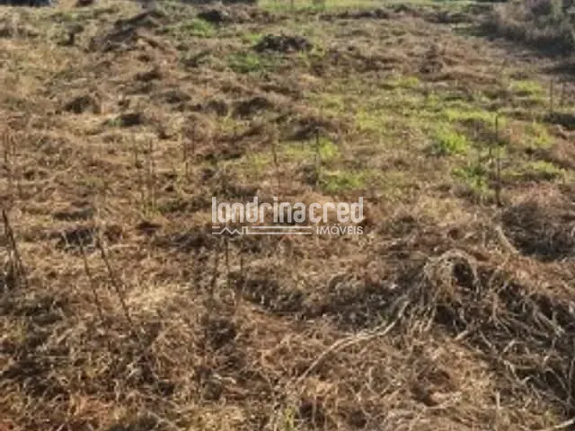 Terreno com 294m², à venda, no bairro Gleba Simon Frazer em Londrina