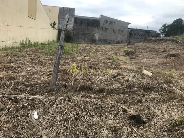 Terreno com 600m², à venda, no bairro Alto do Cardoso em Pindamonhangaba
