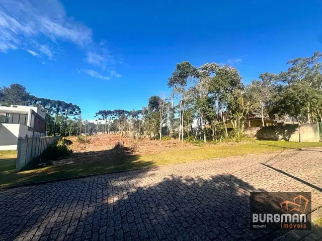 Terreno com 3500m², à venda, no bairro Dom Rodrigo em São José Dos Pinhais