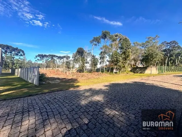 Terreno com 3500m², à venda, no bairro Dom Rodrigo em São José Dos Pinhais