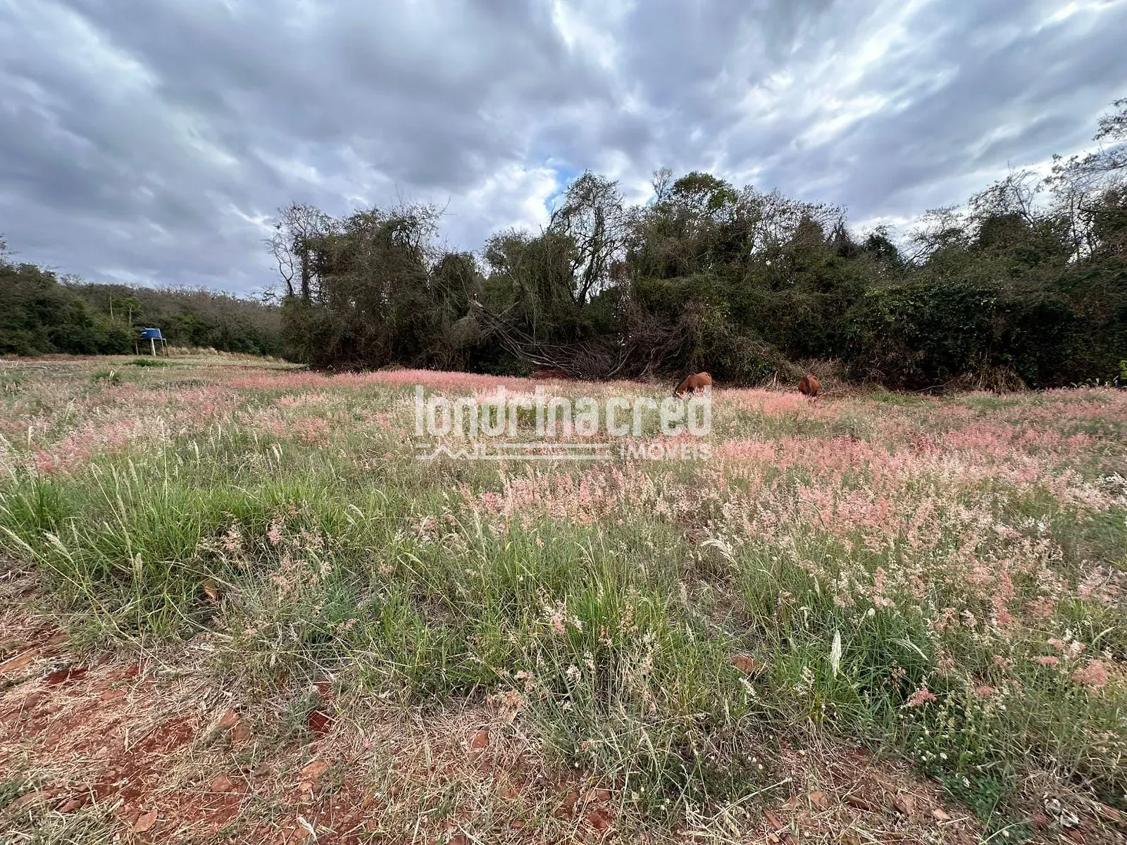 Terreno, 1210 m² - Foto 10