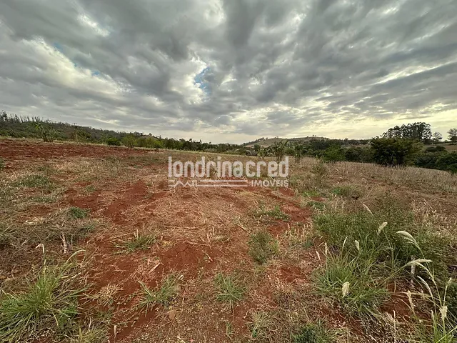 Terreno com 1210m², à venda, no bairro Selva em Londrina