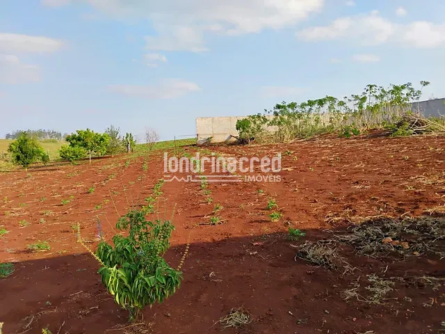 Terreno com 1000m², à venda, no bairro Centro em Jataizinho