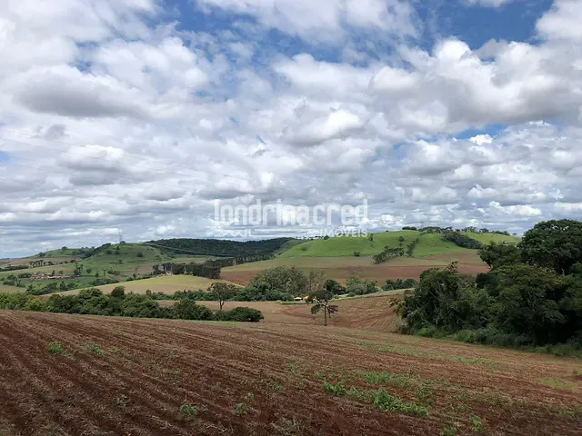 Terreno com 26000m², à venda, no bairro Selva em Londrina