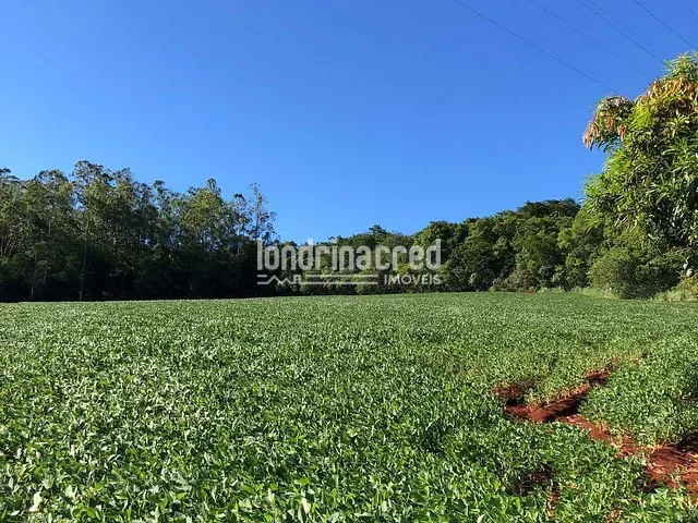 Terreno com 26000m², à venda, no bairro Selva em Londrina