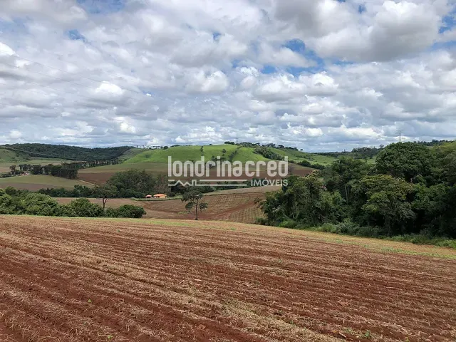 Terreno com 26000m², à venda, no bairro Selva em Londrina