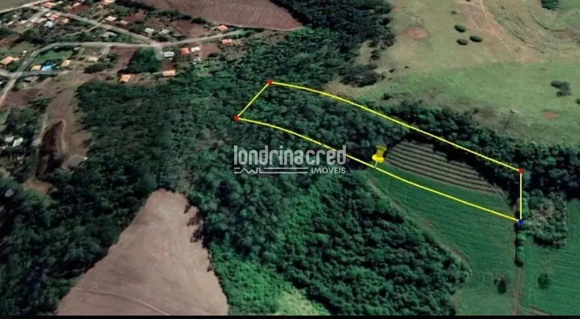 Terreno, 3 hectares - Foto 4