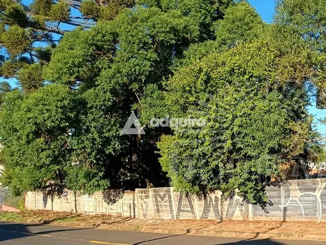 Terreno com 984m², à venda, no bairro Uvaranas em Ponta Grossa