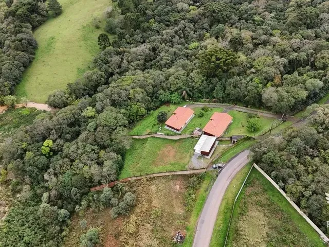 Terreno com 4912m², à venda, no bairro Butiatuvinha em Curitiba
