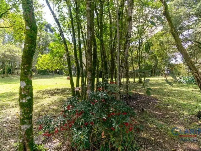 Terreno à venda, no bairro RONDINHA em Campo Largo