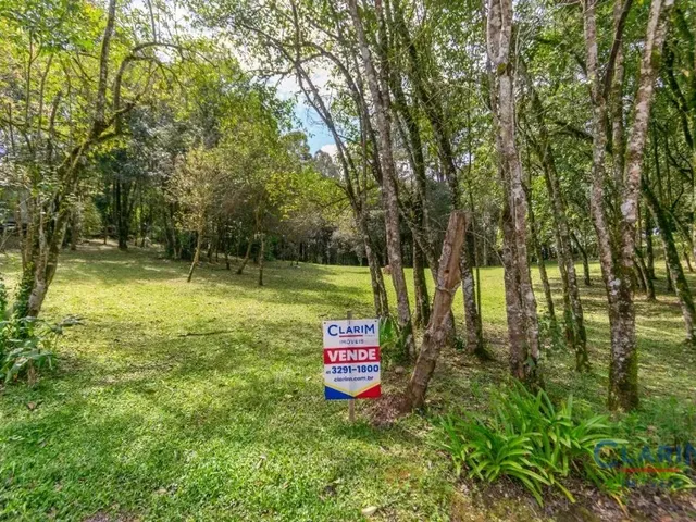 Terreno à venda, no bairro RONDINHA em Campo Largo