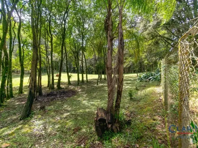 Terreno à venda, no bairro RONDINHA em Campo Largo