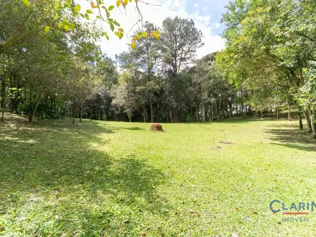 Terreno à venda, no bairro RONDINHA em Campo Largo