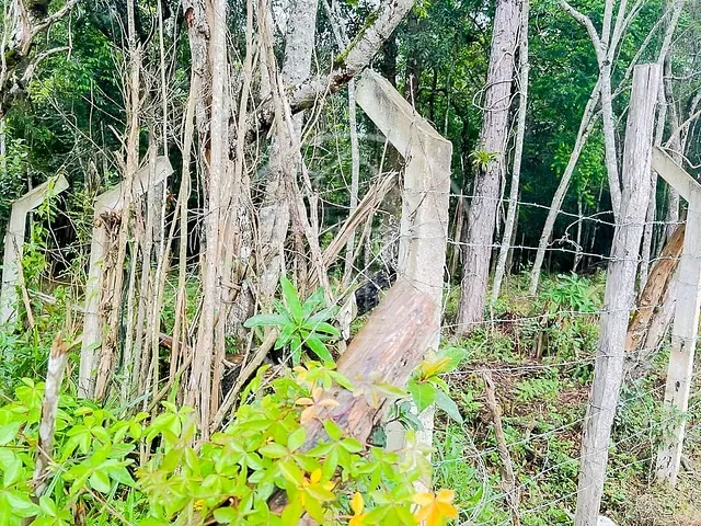 Terreno com 63000m², à venda, no bairro Barragem em São Paulo