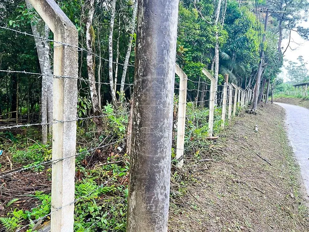 Terreno, 6 hectares - Foto 3