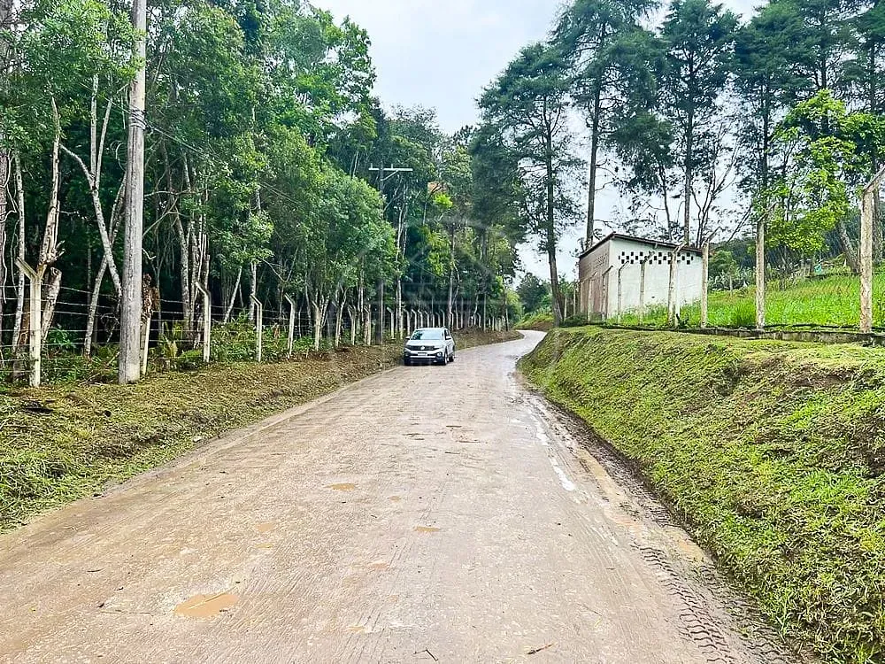 Terreno, 6 hectares - Foto 6