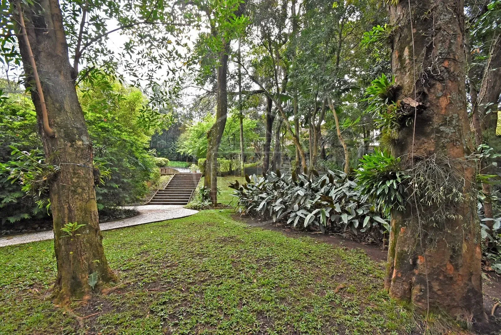 Terreno, 3100 m² - Foto 12