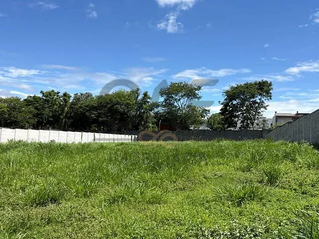 Terreno com 1738m², à venda, no bairro Jardim das Tulipas em Holambra