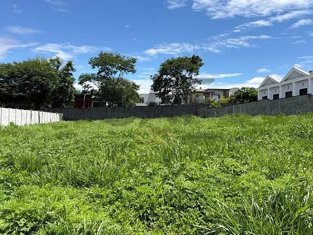 Terreno com 1738m², à venda, no bairro Jardim das Tulipas em Holambra