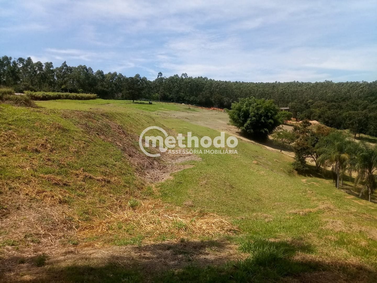 Terreno, 2 hectares - Foto 9