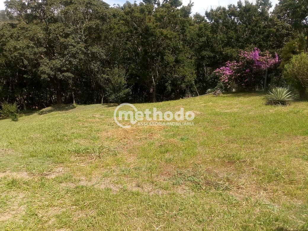 Terreno, 2 hectares - Foto 6